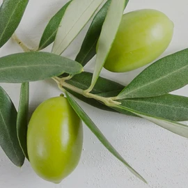 РАСТИТЕЛЬНЫЕ КОМПОНЕНТЫ